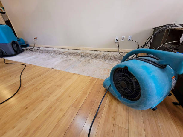 Professional Water Removal technician working in Ridgeland, SC